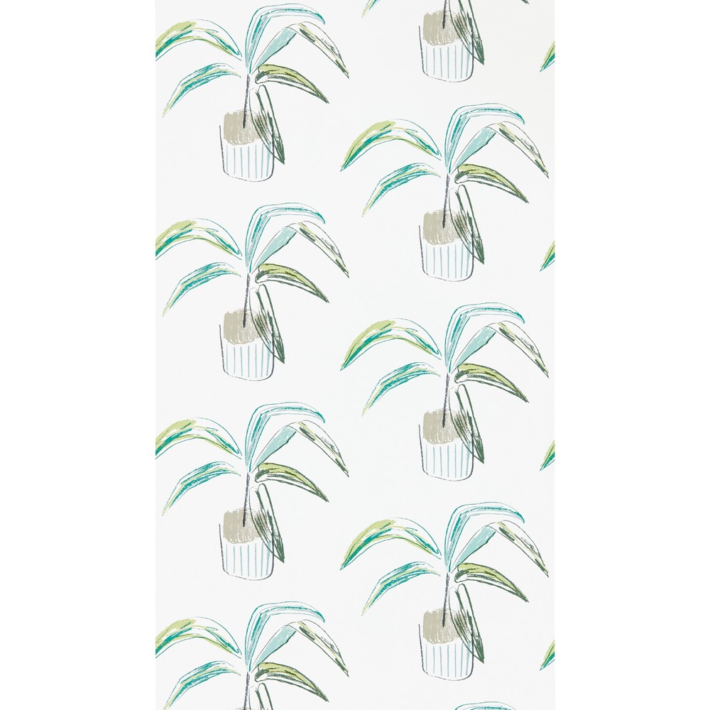 Crassula Wallpaper 111993 by Scion in Juniper Lime Green